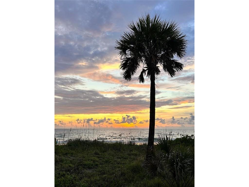 124 13th Avenue Indian Rocks Beach FL 33785 TB8442041 image39