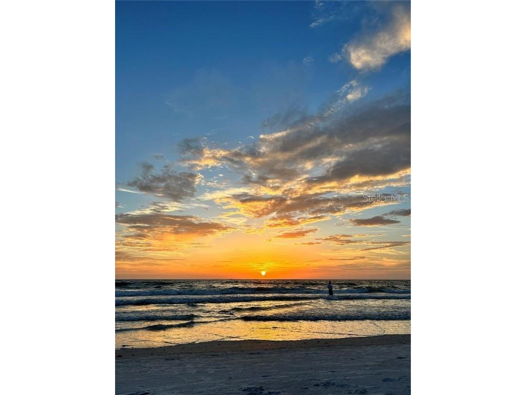 124 13th Avenue Indian Rocks Beach FL 33785 TB8442041 image40