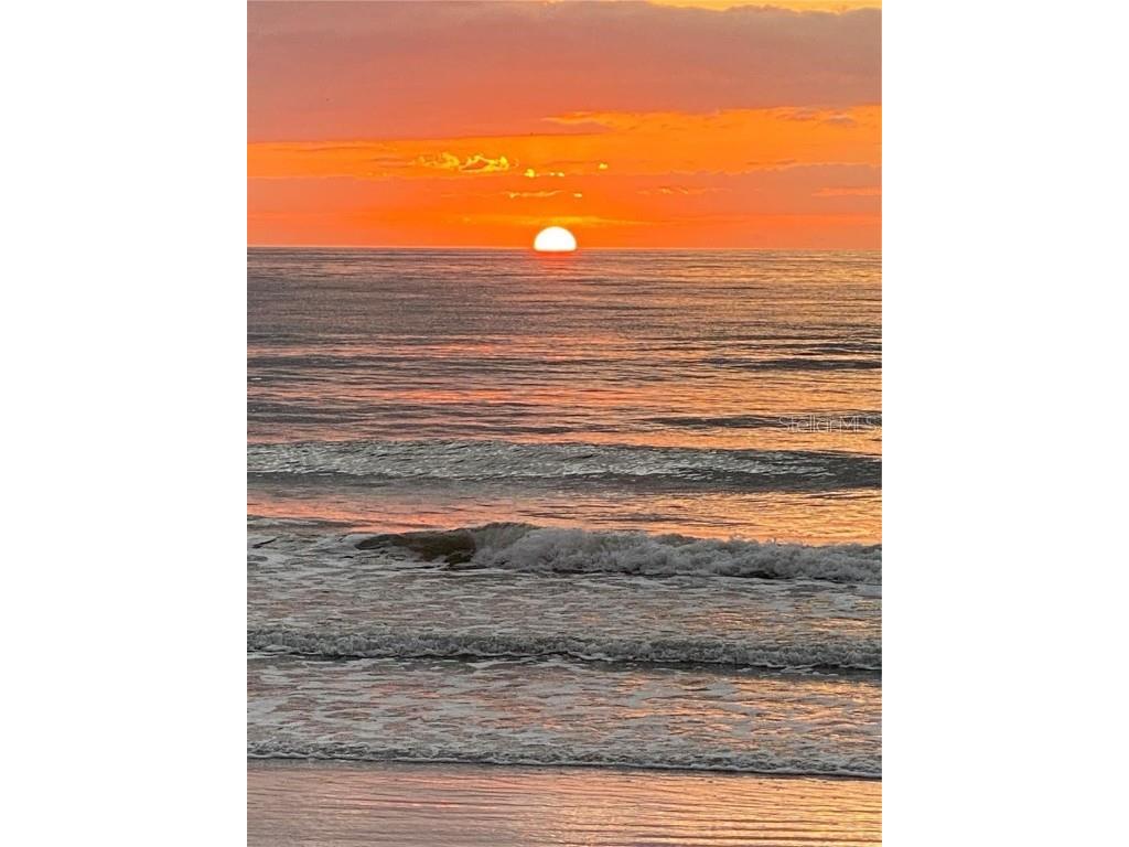 124 13th Avenue Indian Rocks Beach FL 33785 TB8442041 image41