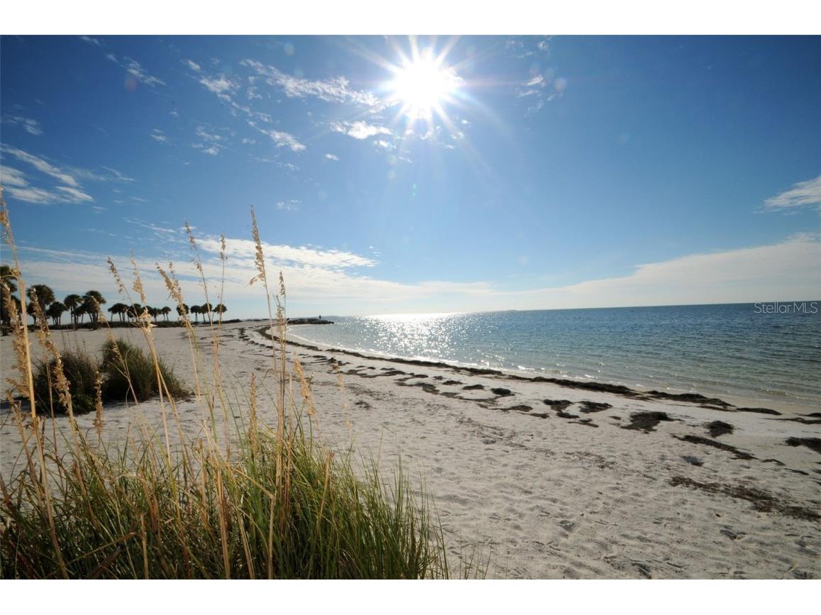 124 Athens Street Tarpon Springs FL 34689 W7875745 image13