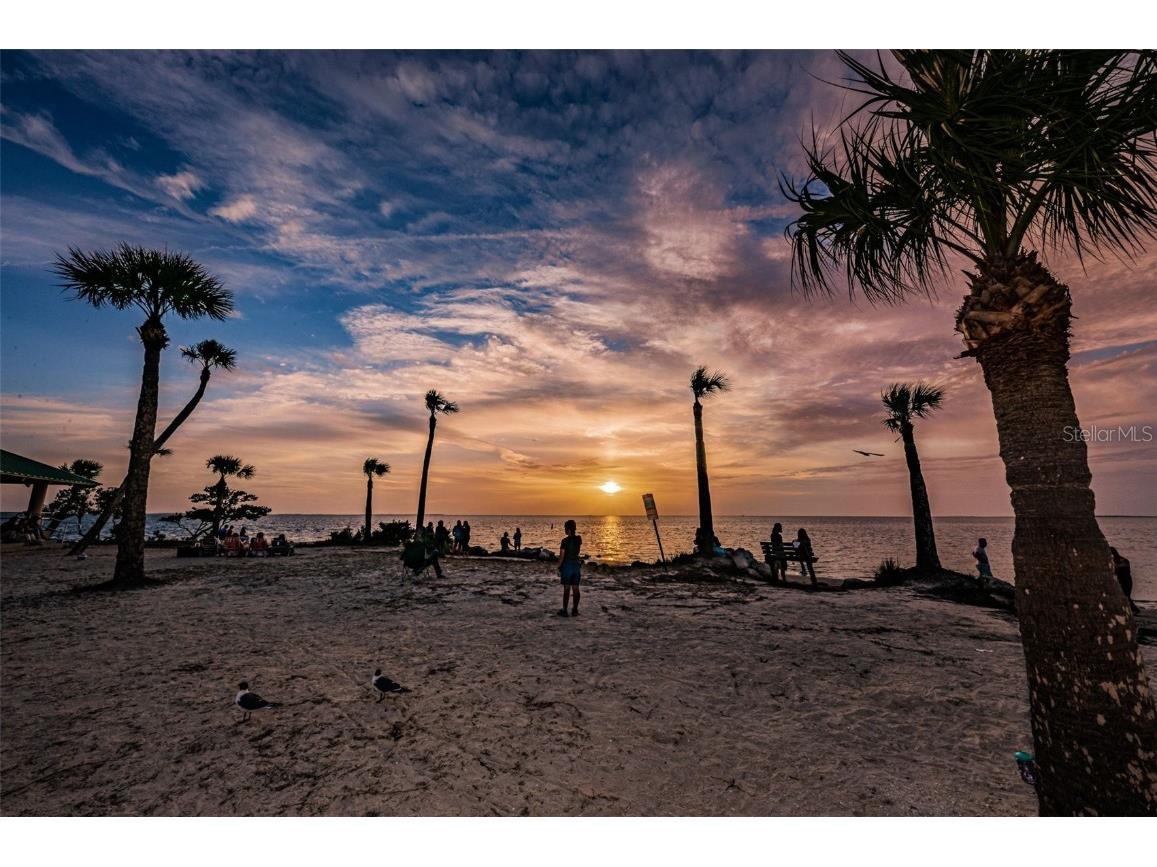 124 Athens Street Tarpon Springs FL 34689 W7875745 image24