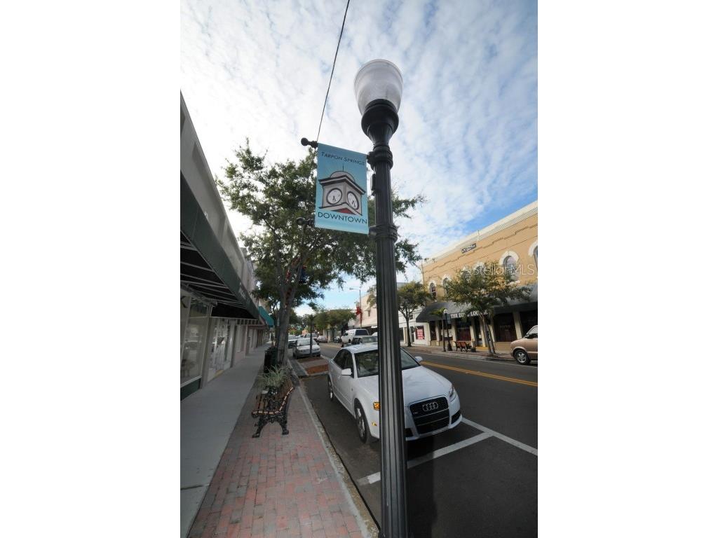 124 Athens Street Tarpon Springs FL 34689 W7875745 image9