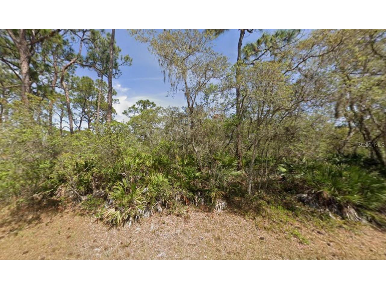 124 Audrey Avenue NW Lake Placid FL 33852 OK225796 image1