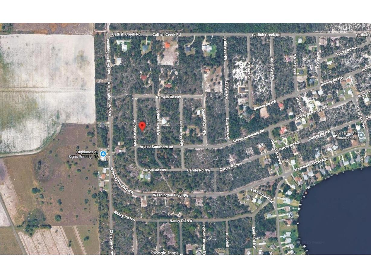 124 Audrey Avenue NW Lake Placid FL 33852 OK225796 image3