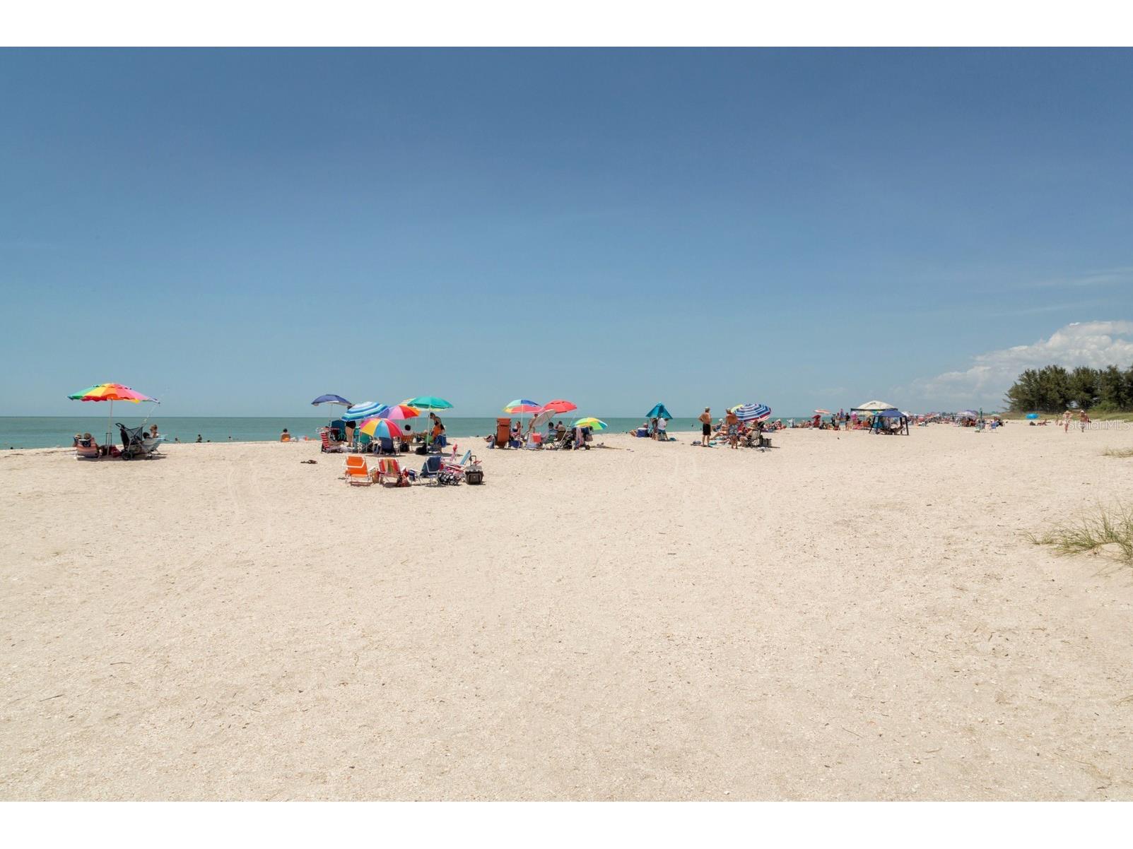 124 Avens Drive Nokomis FL 34275 N6142895 image34