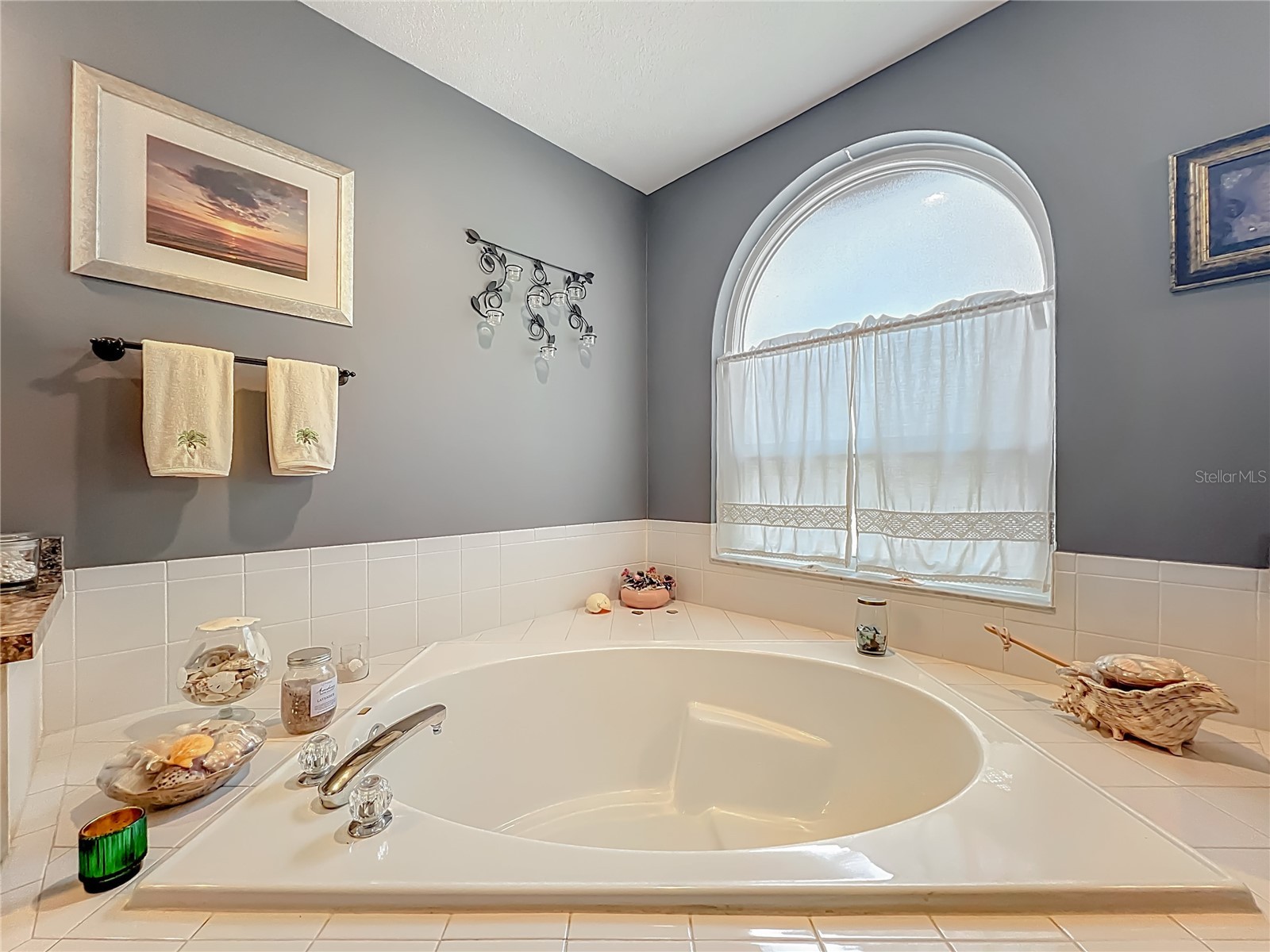 124 Country Lakes Circle Groveland FL 34736 O6371268 image28