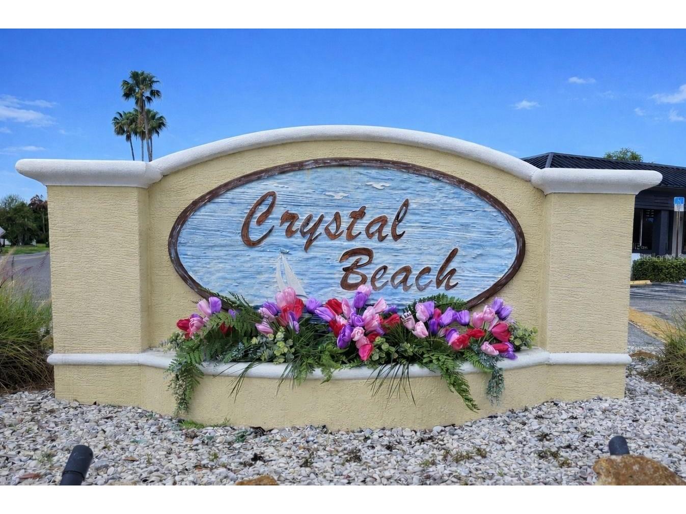 124 Crystal Beach Avenue Crystal Beach FL 34681 TB8486227 image2