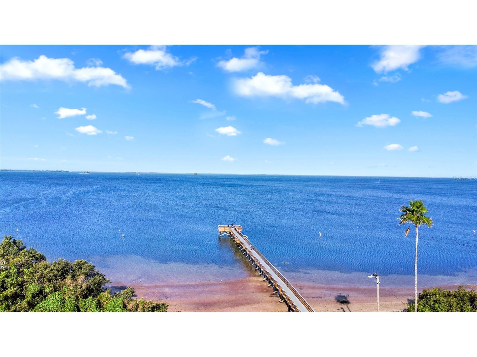 124 Crystal Beach Avenue Crystal Beach FL 34681 TB8486227 image45