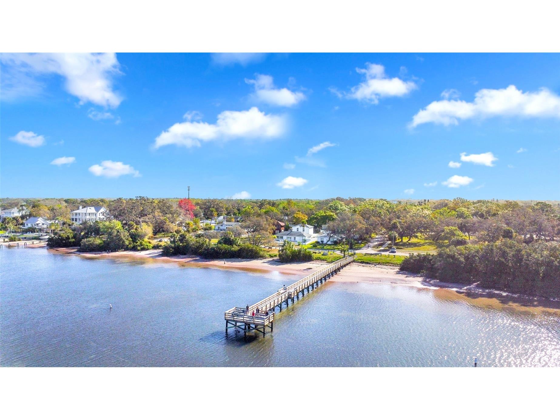 124 Crystal Beach Avenue Crystal Beach FL 34681 TB8486227 image47