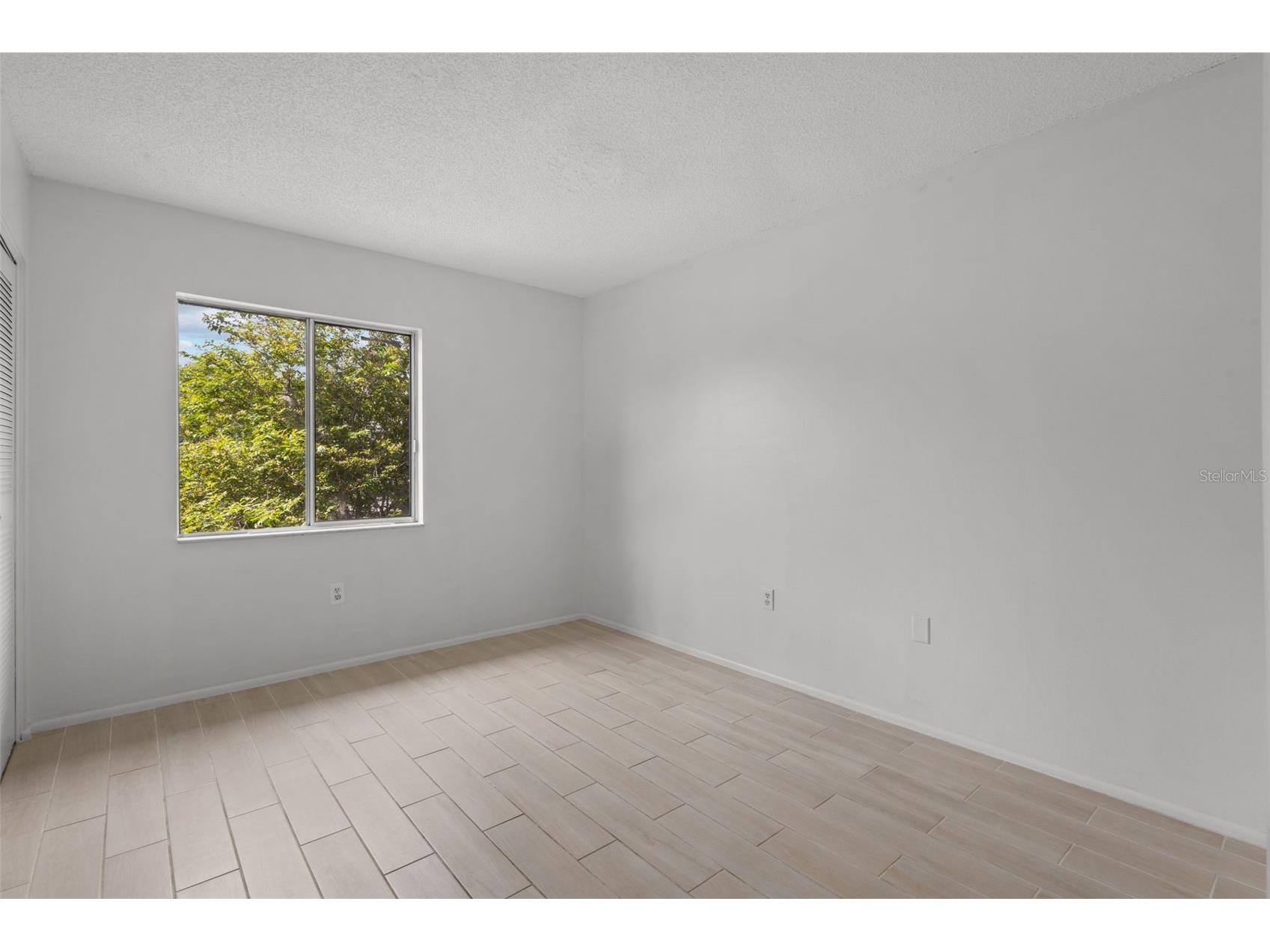 124 Cypress Lane #124 Oldsmar FL 34677 TB8514283 image14