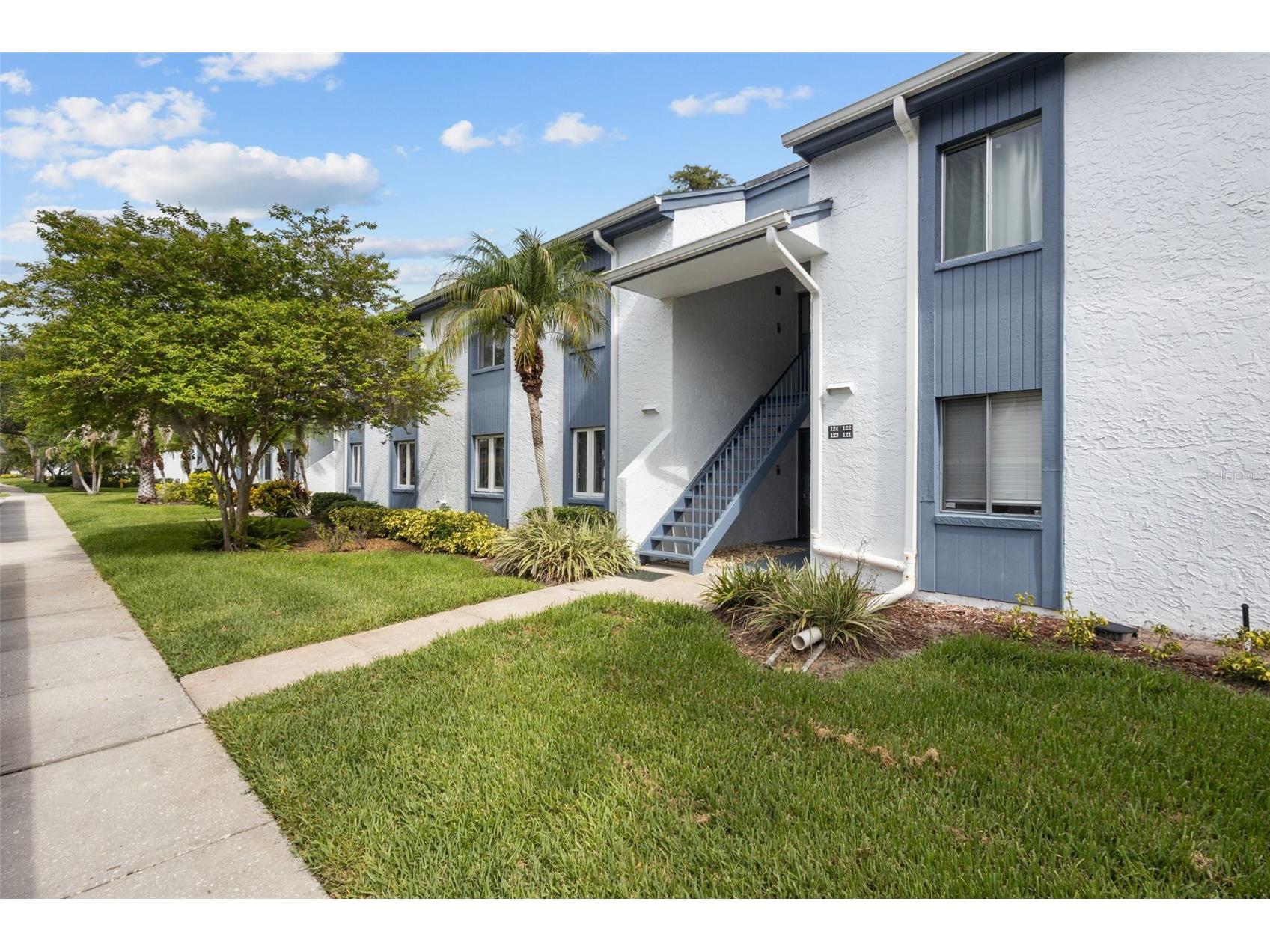 124 Cypress Lane #124 Oldsmar FL 34677 TB8514283 image18