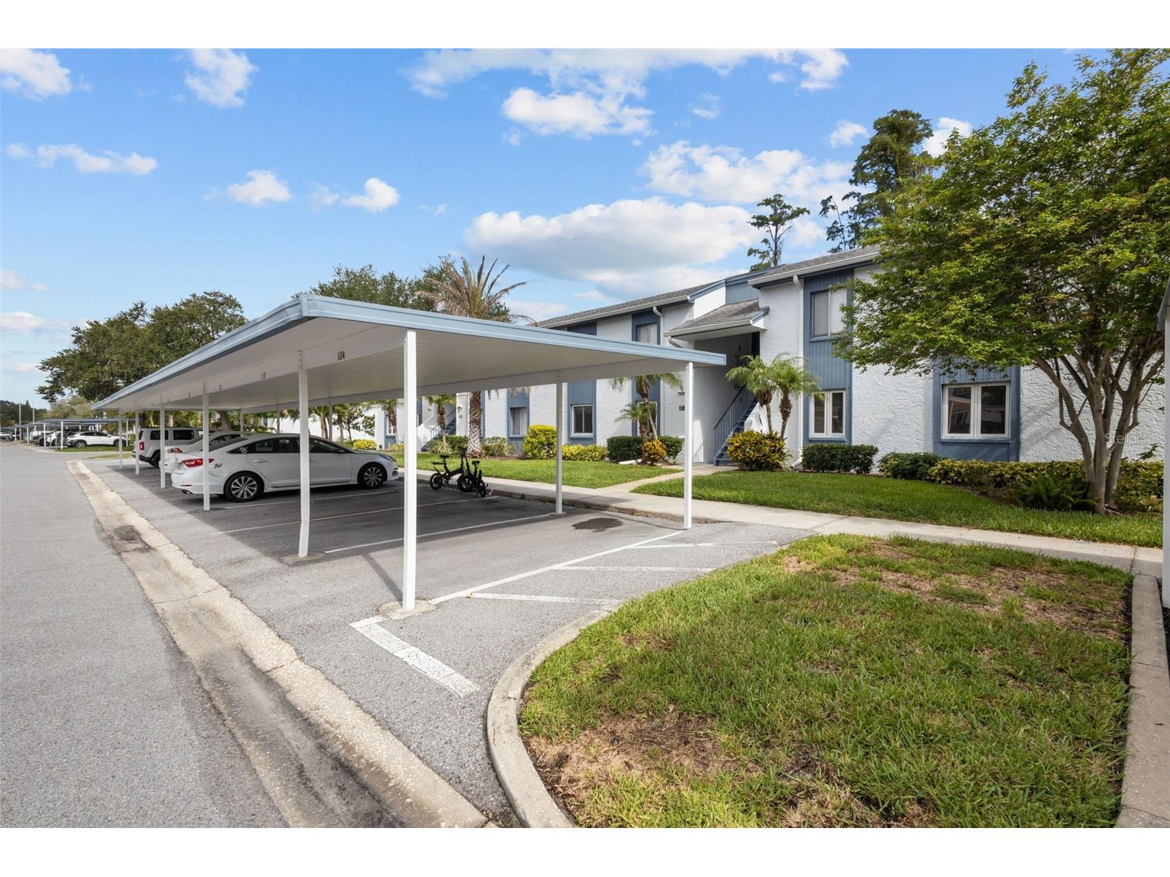 124 Cypress Lane #124 Oldsmar FL 34677 TB8514283 image19