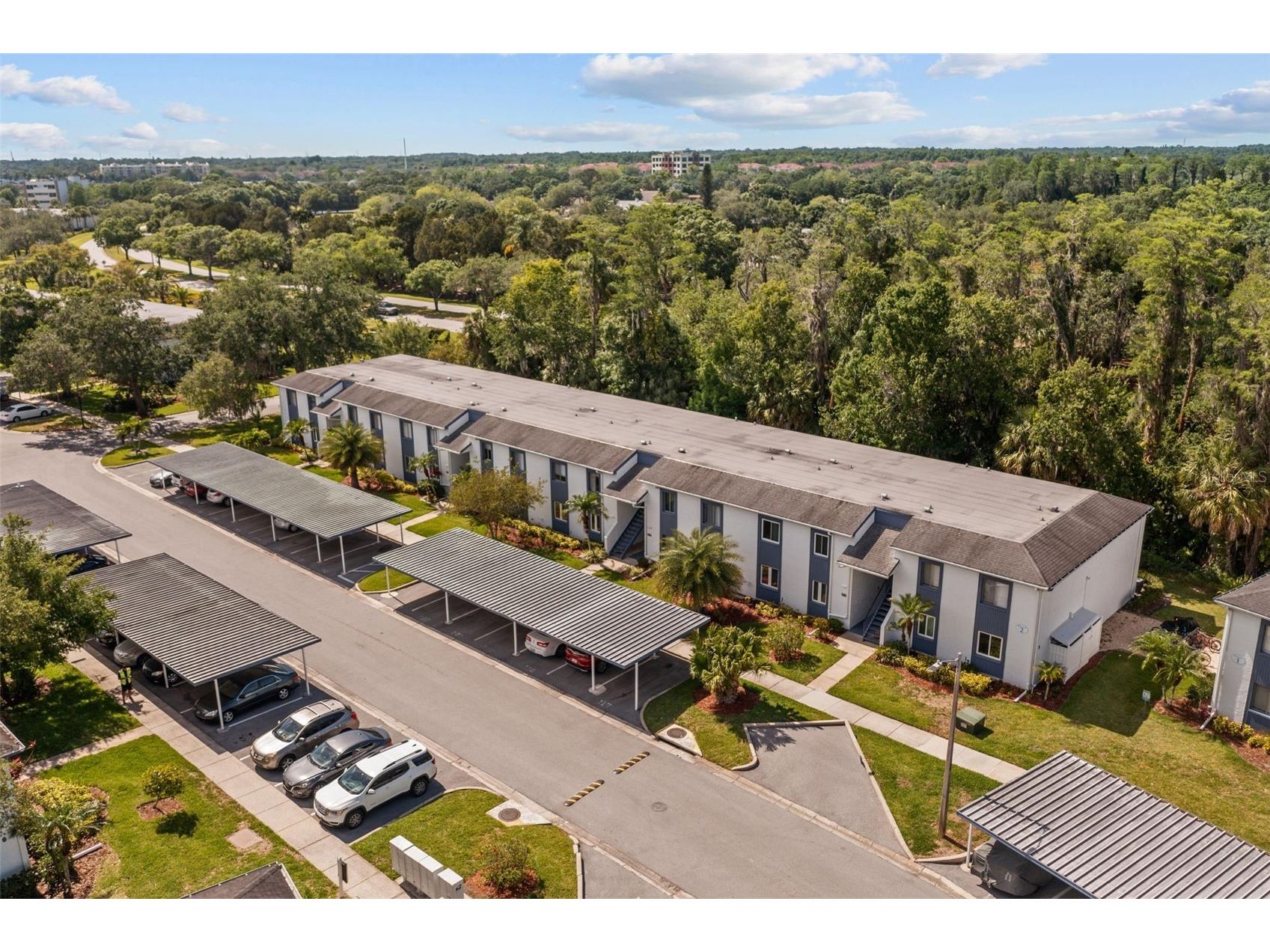 124 Cypress Lane #124 Oldsmar FL 34677 TB8514283 image21