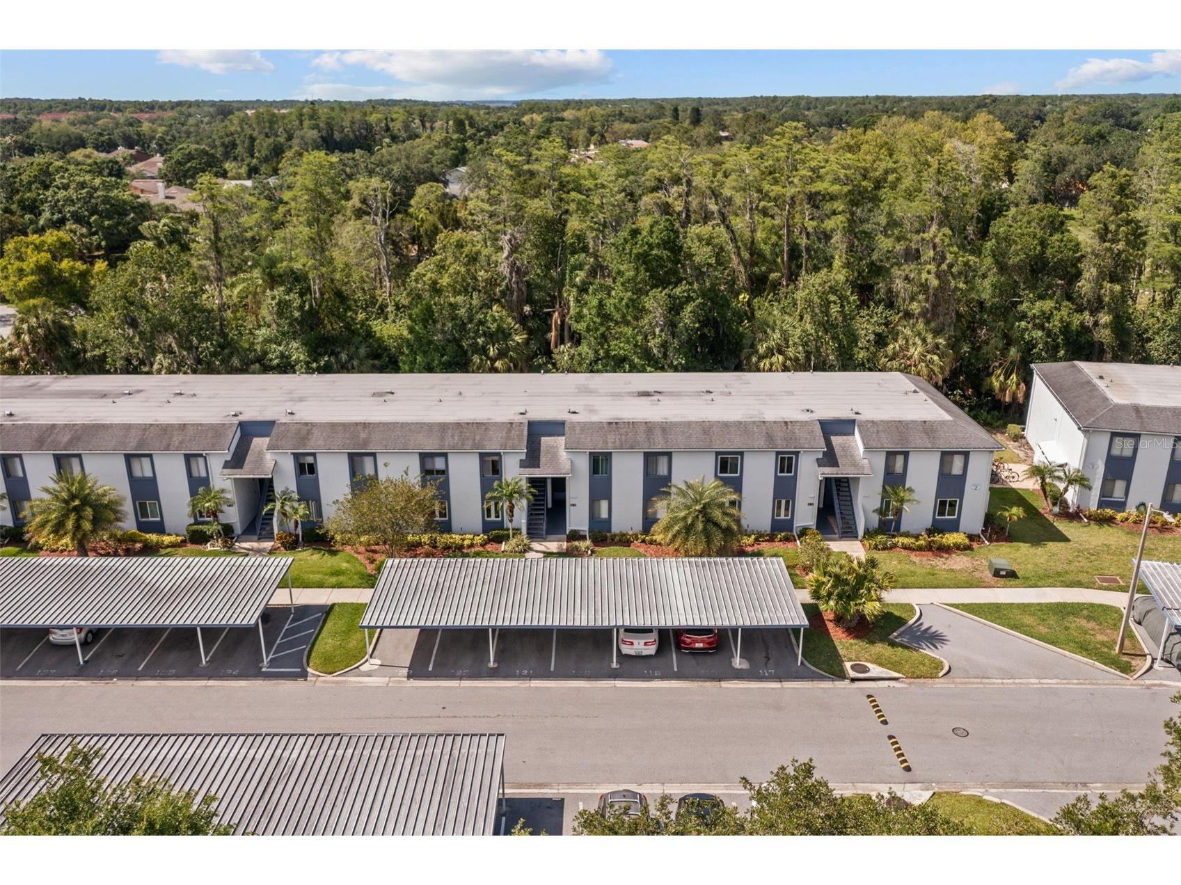 124 Cypress Lane #124 Oldsmar FL 34677 TB8514283 image22