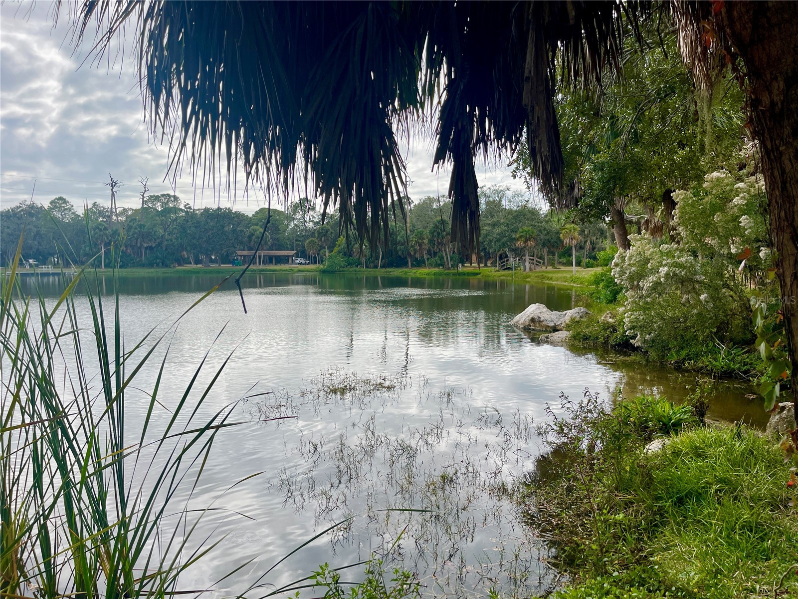 124 Dogwood Circle Seminole FL 33777 TB8460474 image55