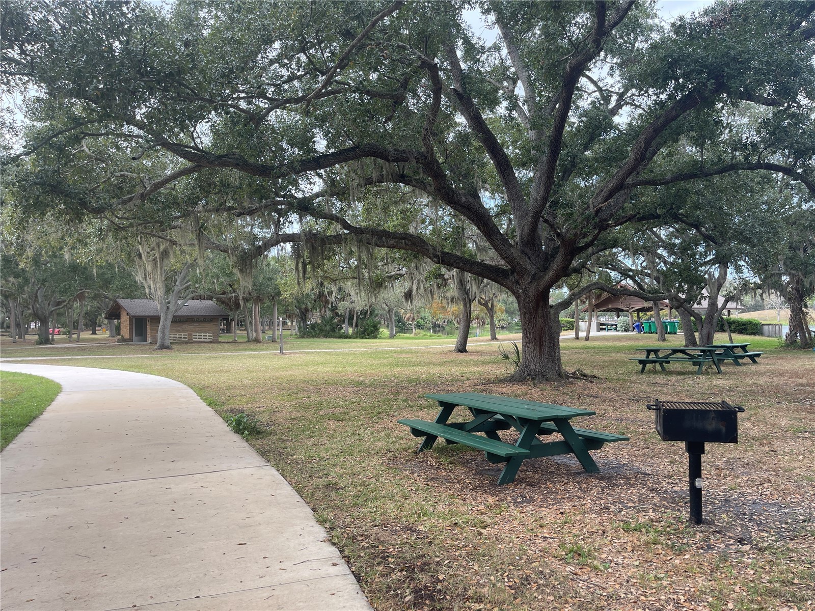 124 Dogwood Circle Seminole FL 33777 TB8460474 image57