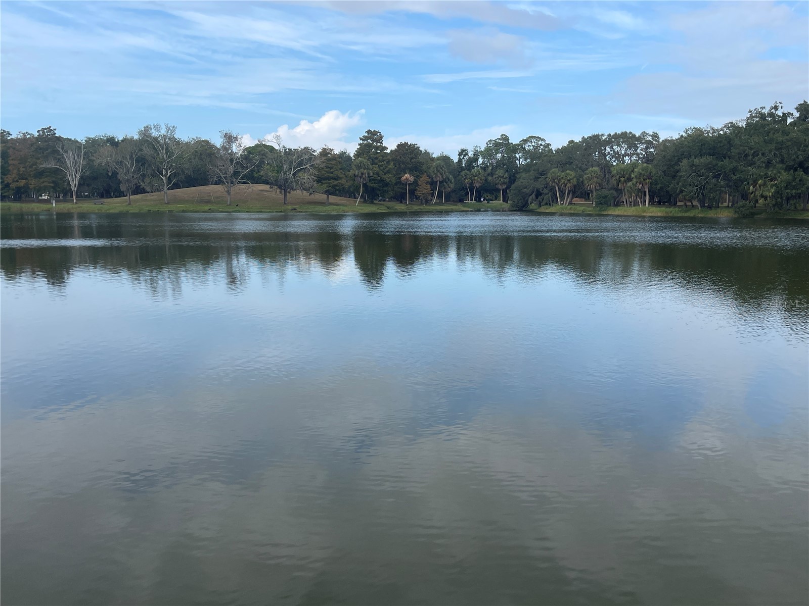 124 Dogwood Circle Seminole FL 33777 TB8460474 image58