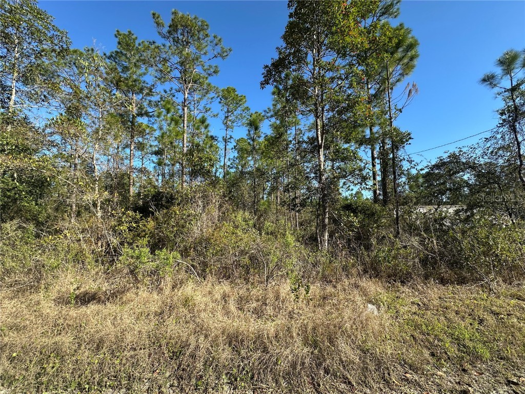 124 E Alachua Street Palatka FL 32177 OM698498 image1