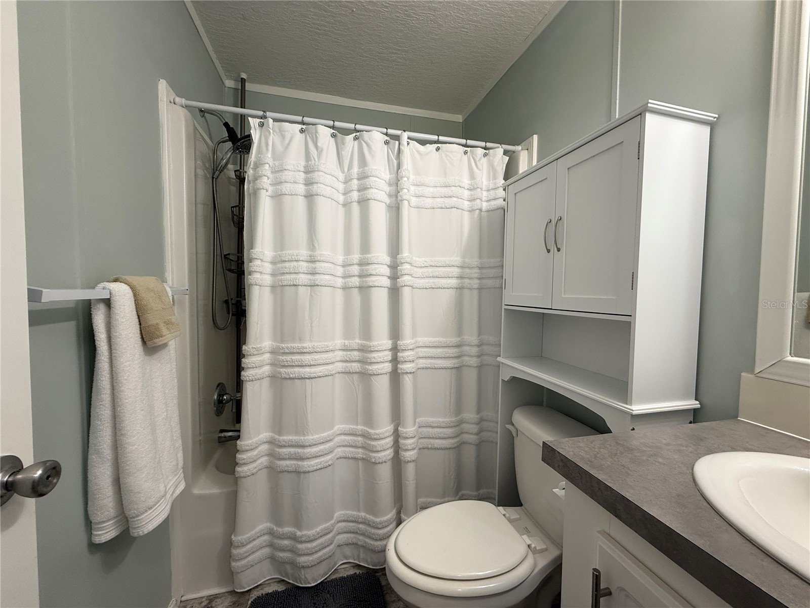 124 E Saint Annes Circle Apollo Beach FL 33572 TB8471353 image15