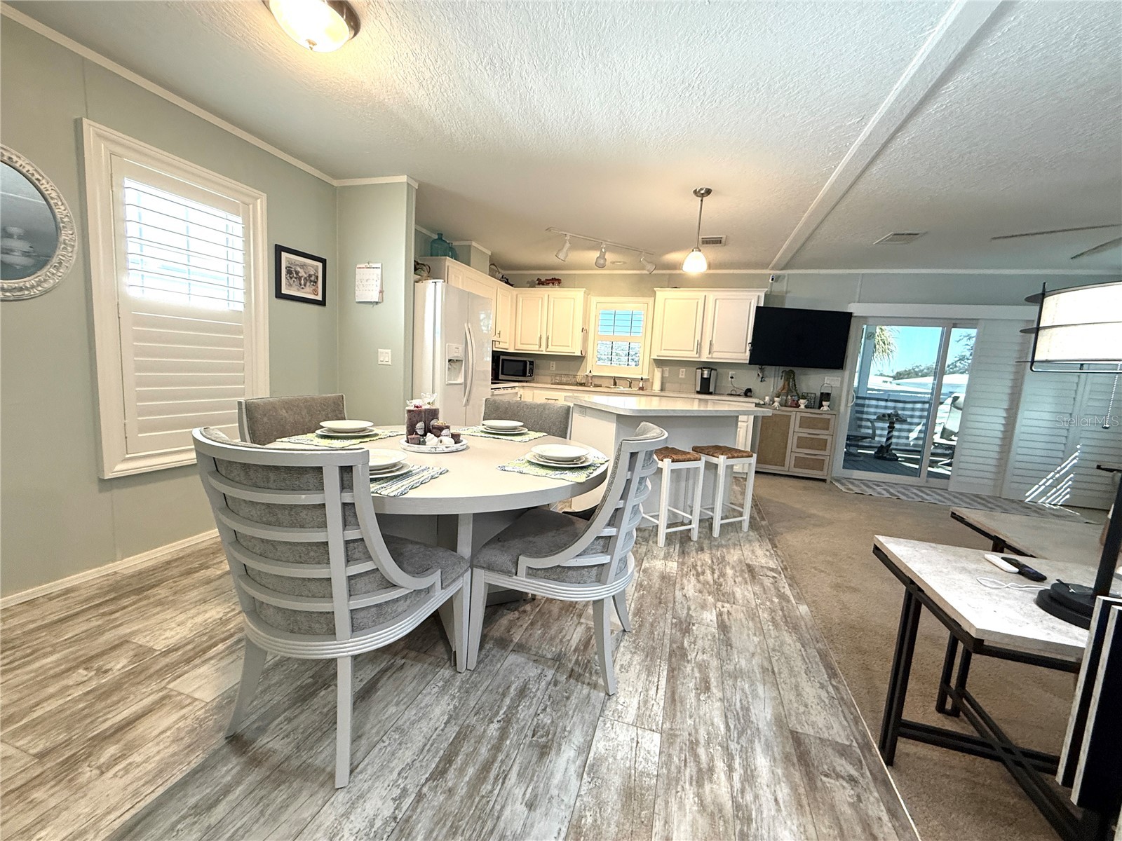 124 E Saint Annes Circle Apollo Beach FL 33572 TB8471353 image4