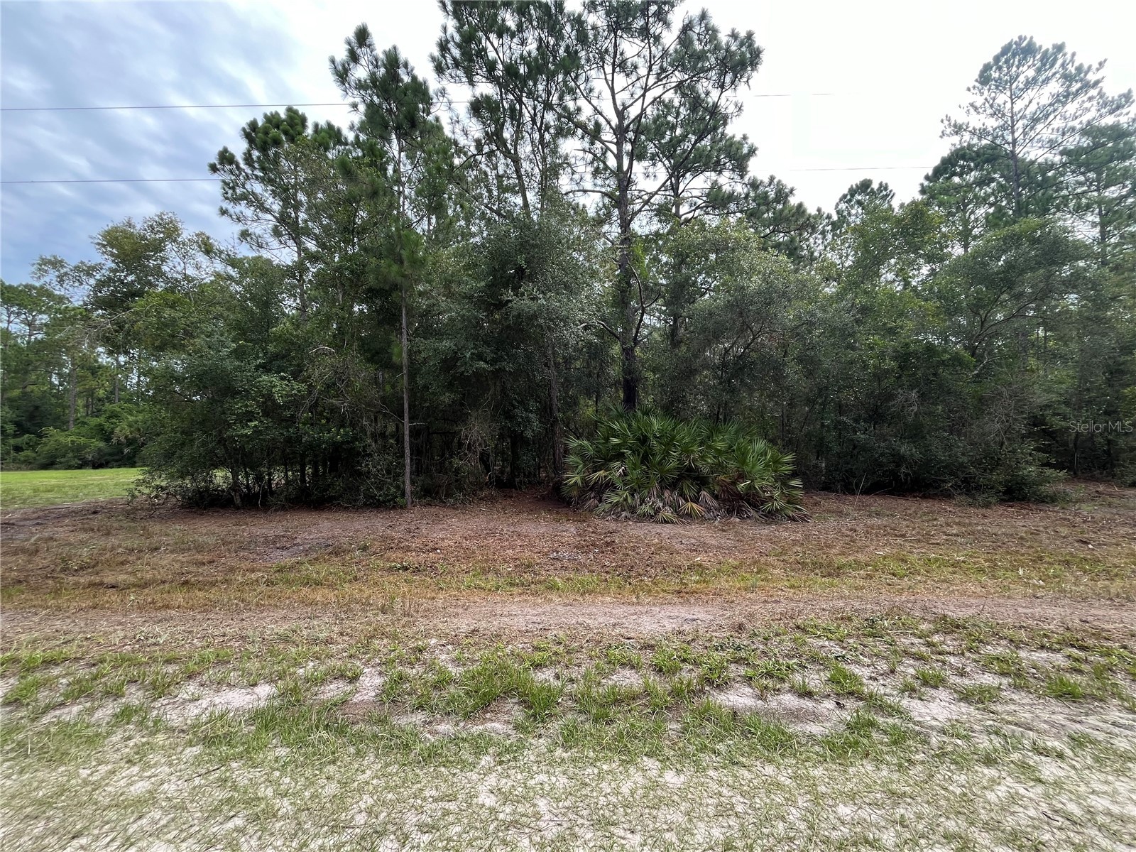 124 Glenside Street Georgetown FL 32139 K4903415 image1