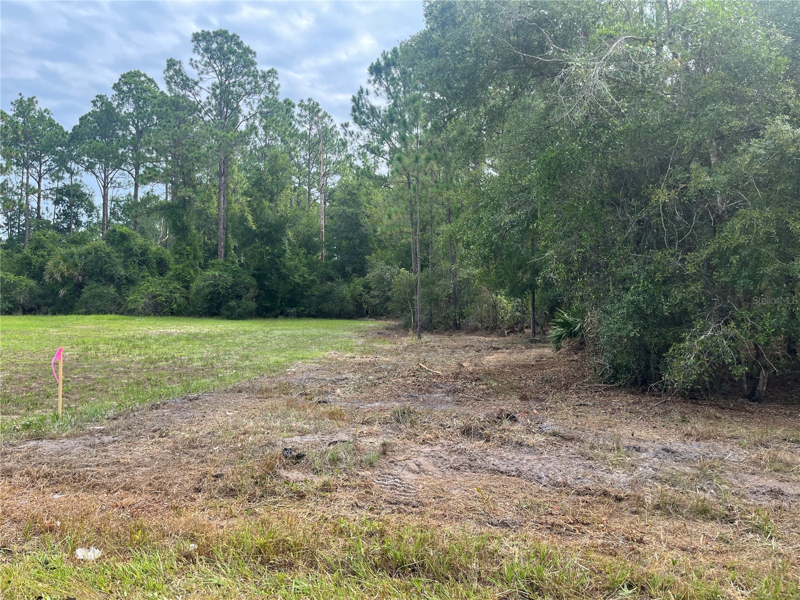 124 Glenside Street Georgetown FL 32139 K4903415 image4