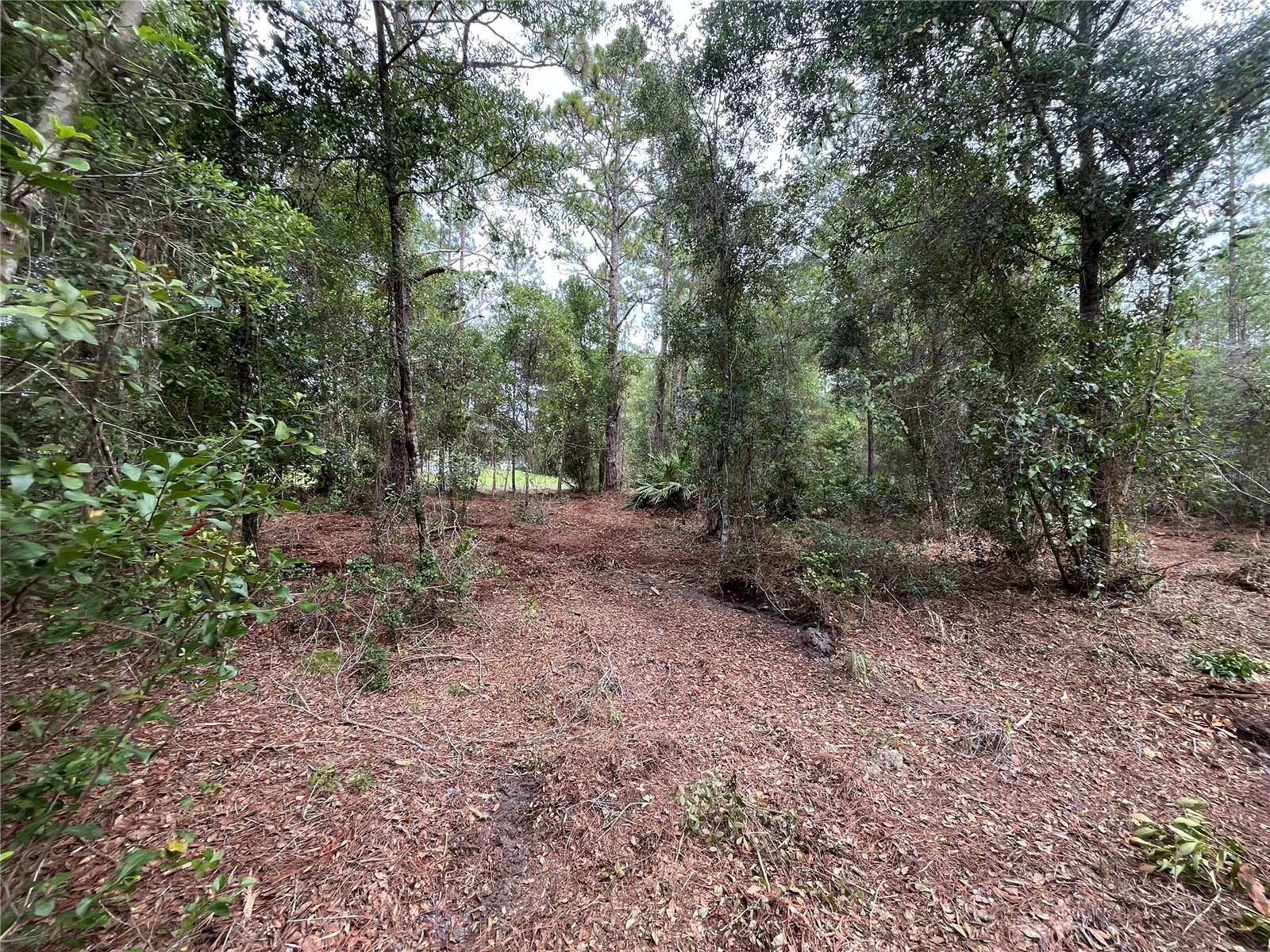 124 Glenside Street Georgetown FL 32139 K4903415 image7