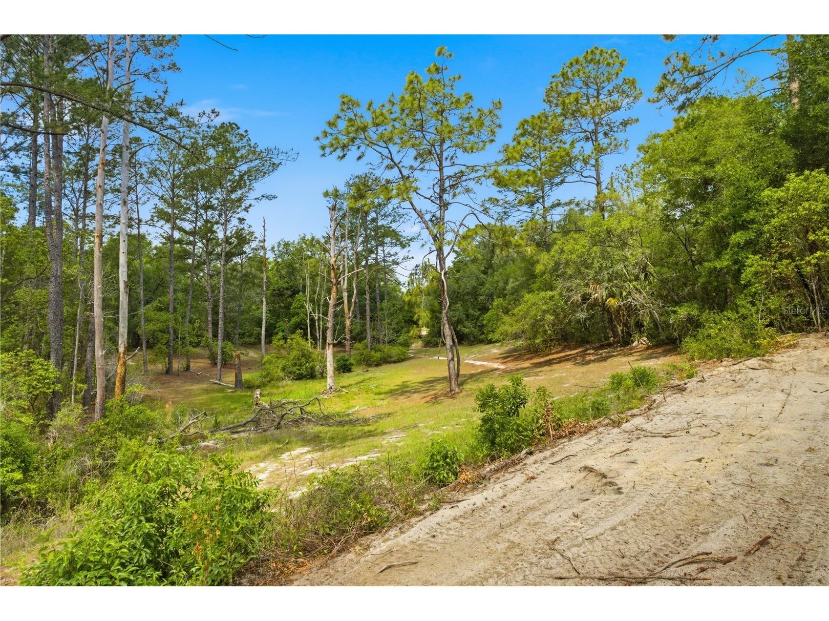 124 Guava Terrace Ocklawaha FL 32179 G5111407 image30