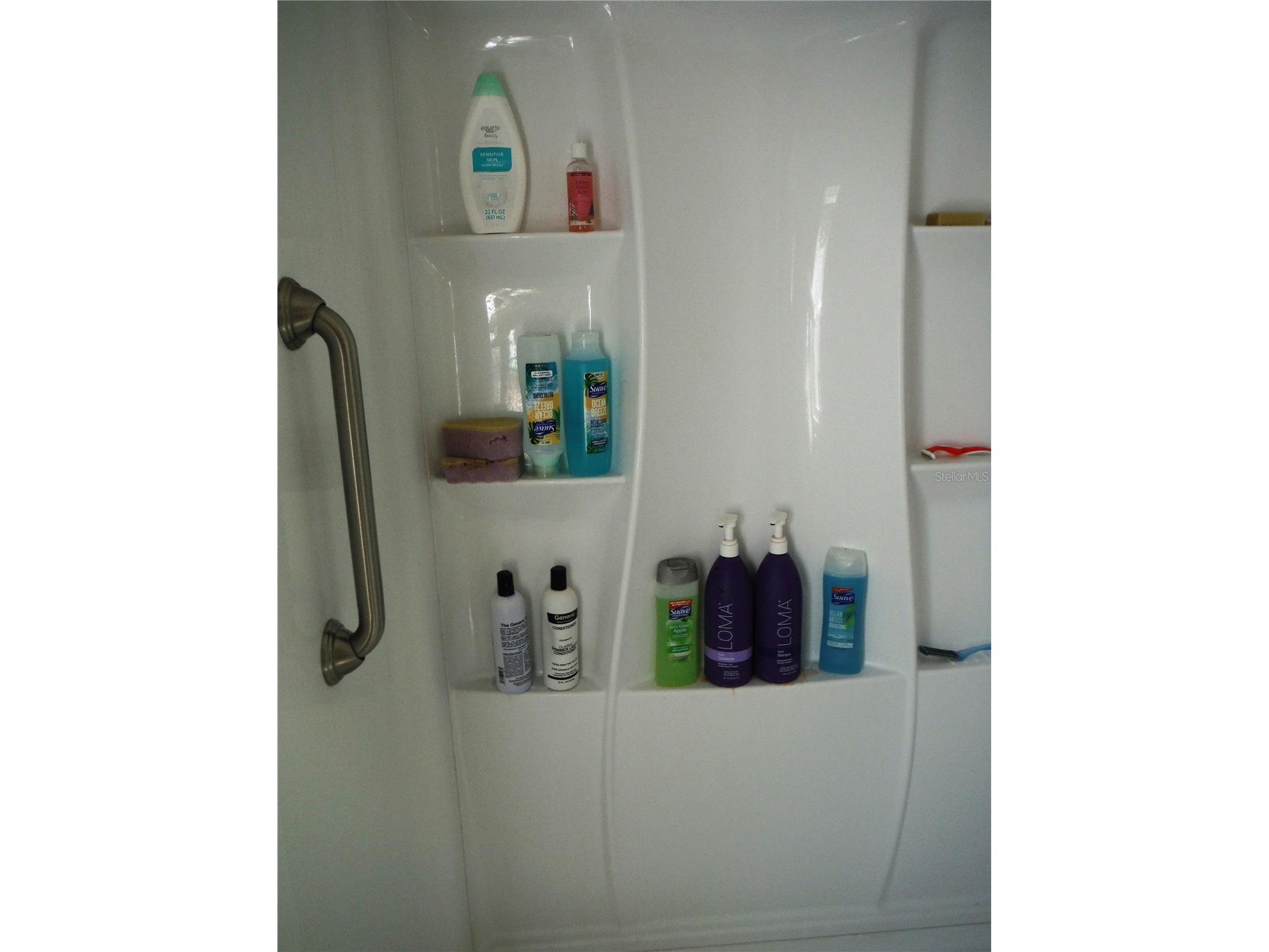 124 Juniperus Drive #45 Safety Harbor FL 34695 TB8478623 image18