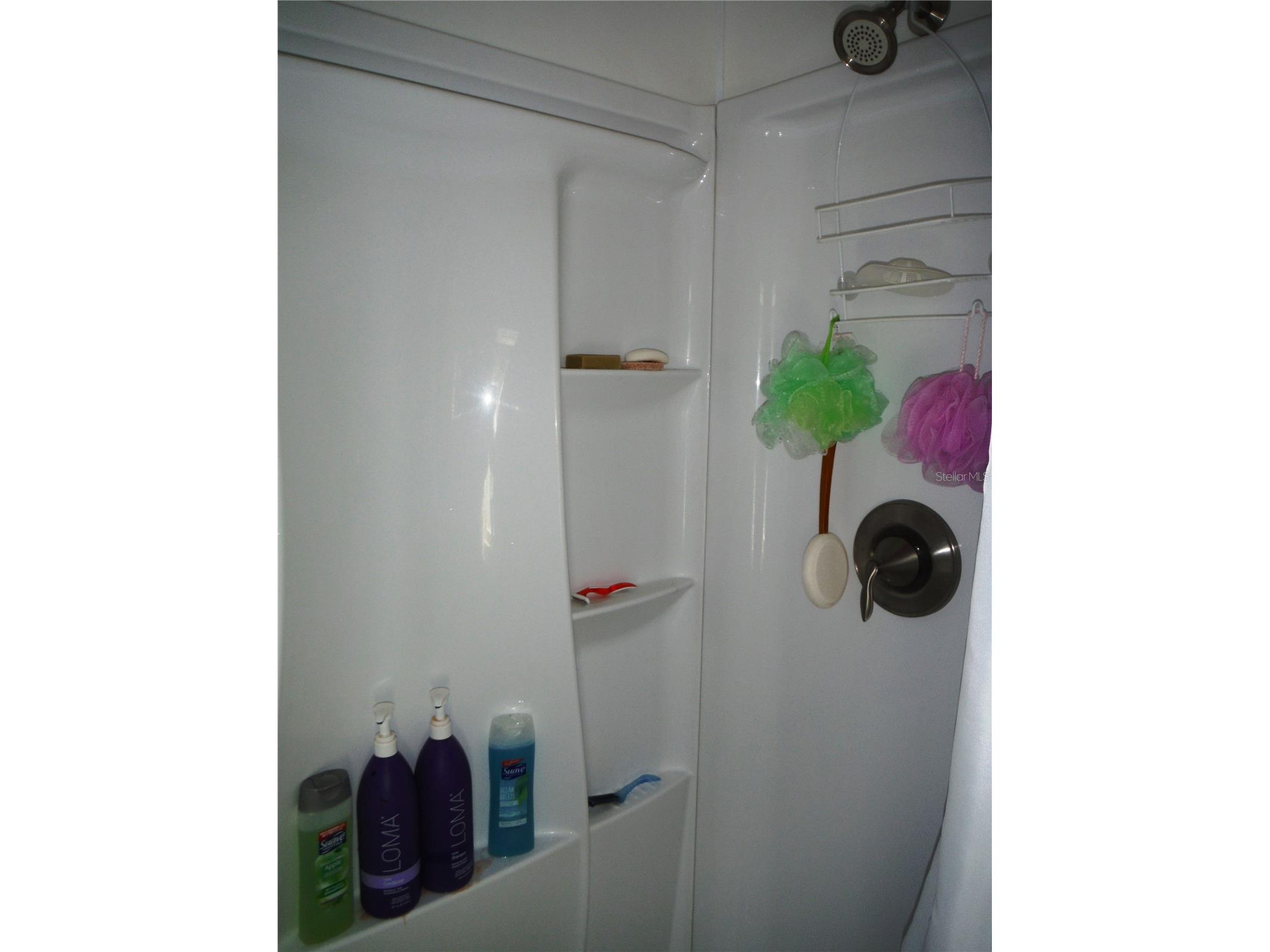124 Juniperus Drive #45 Safety Harbor FL 34695 TB8478623 image19