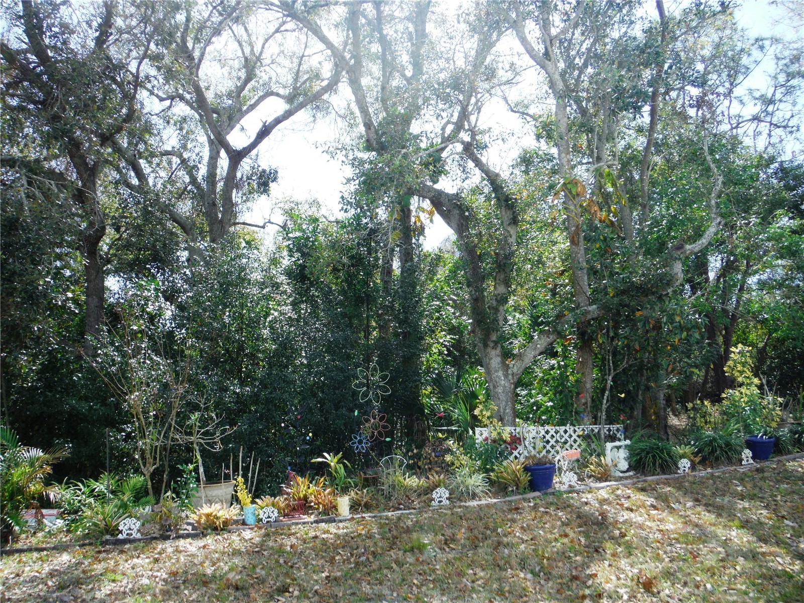 124 Juniperus Drive #45 Safety Harbor FL 34695 TB8478623 image2