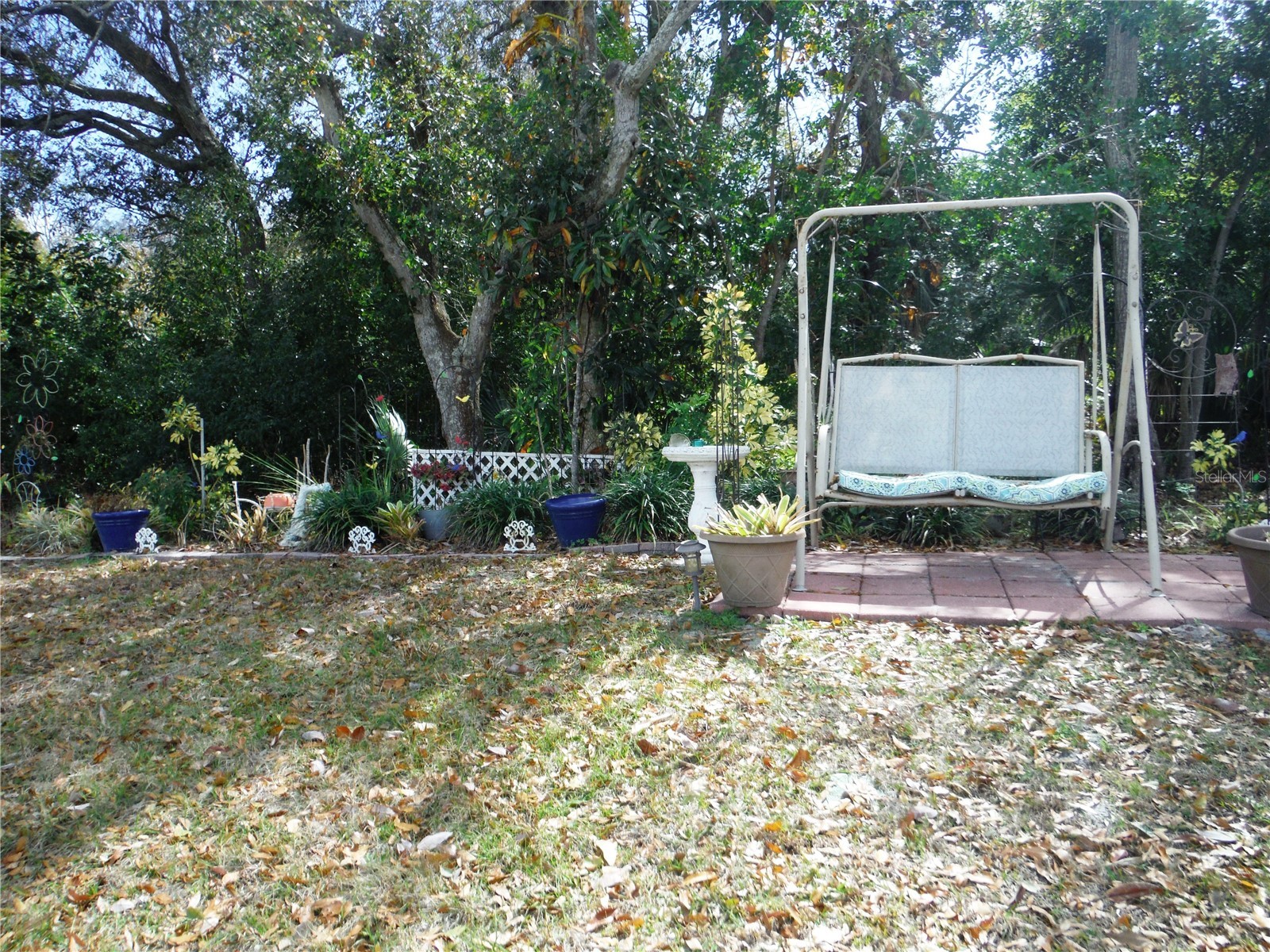 124 Juniperus Drive #45 Safety Harbor FL 34695 TB8478623 image33