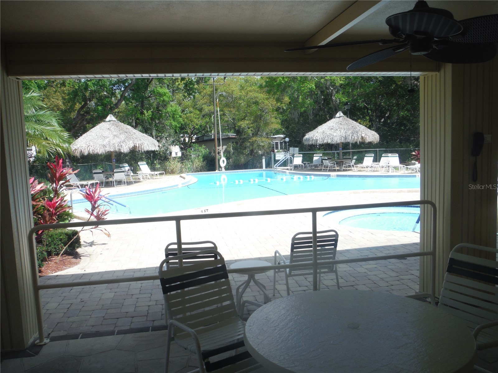 124 Juniperus Drive #45 Safety Harbor FL 34695 TB8478623 image38