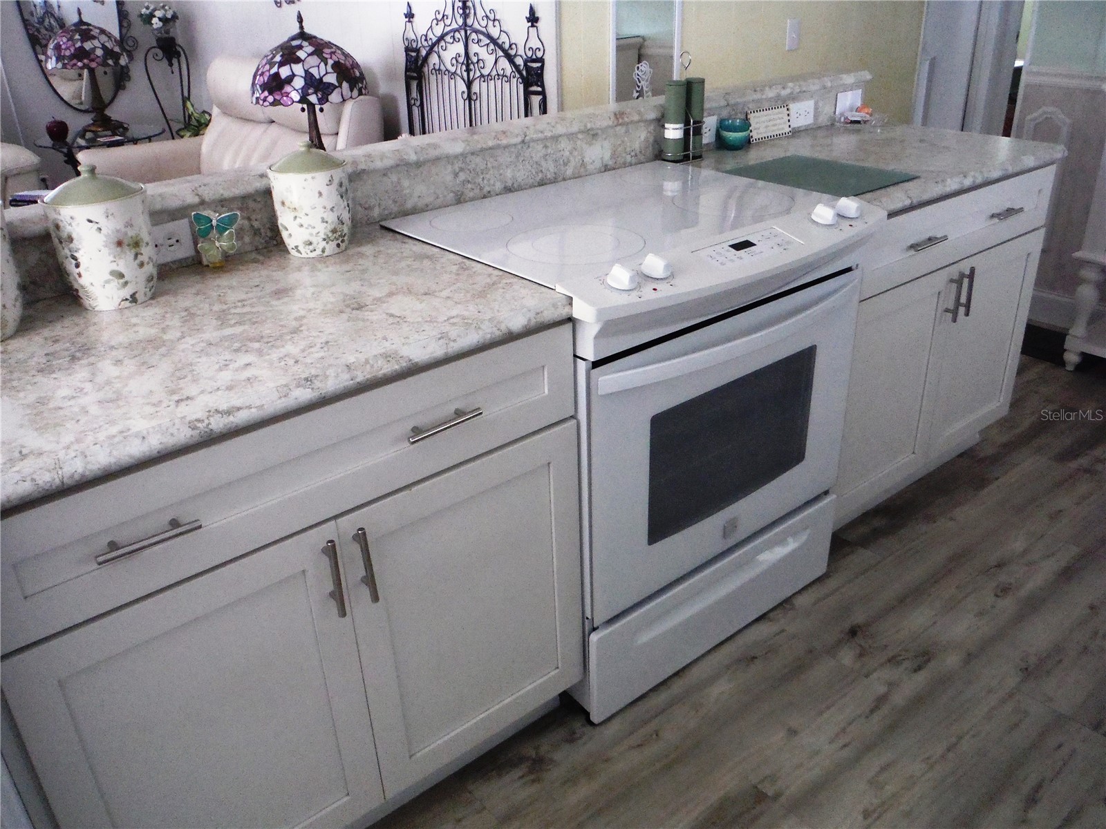 124 Juniperus Drive #45 Safety Harbor FL 34695 TB8478623 image4