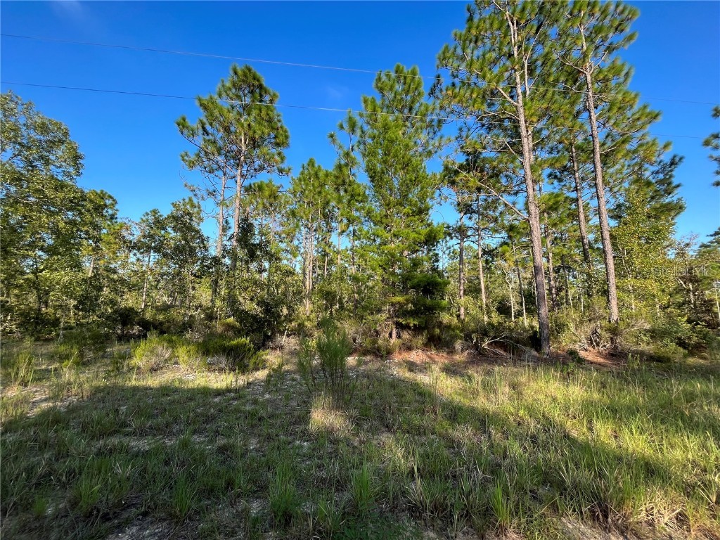 124 Levy Drive Hawthorne FL 32640 OK223155 image1