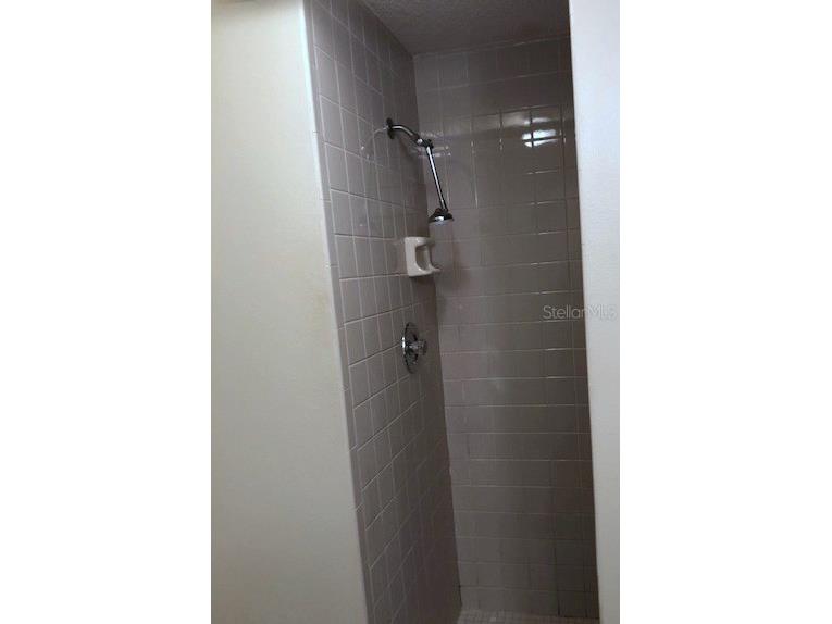 124 Loblolly Court #D Oldsmar FL 34677 TB8487484 image10