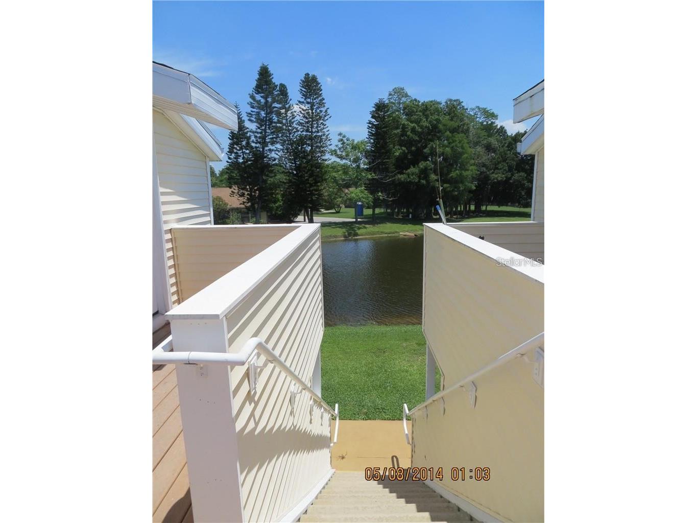 124 Loblolly Court #D Oldsmar FL 34677 TB8487484 image12