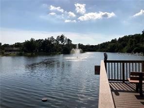 124 Loblolly Court #D Oldsmar FL 34677 TB8487484 image14