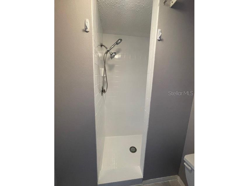 124 Loblolly Court #D Oldsmar FL 34677 TB8487484 image9