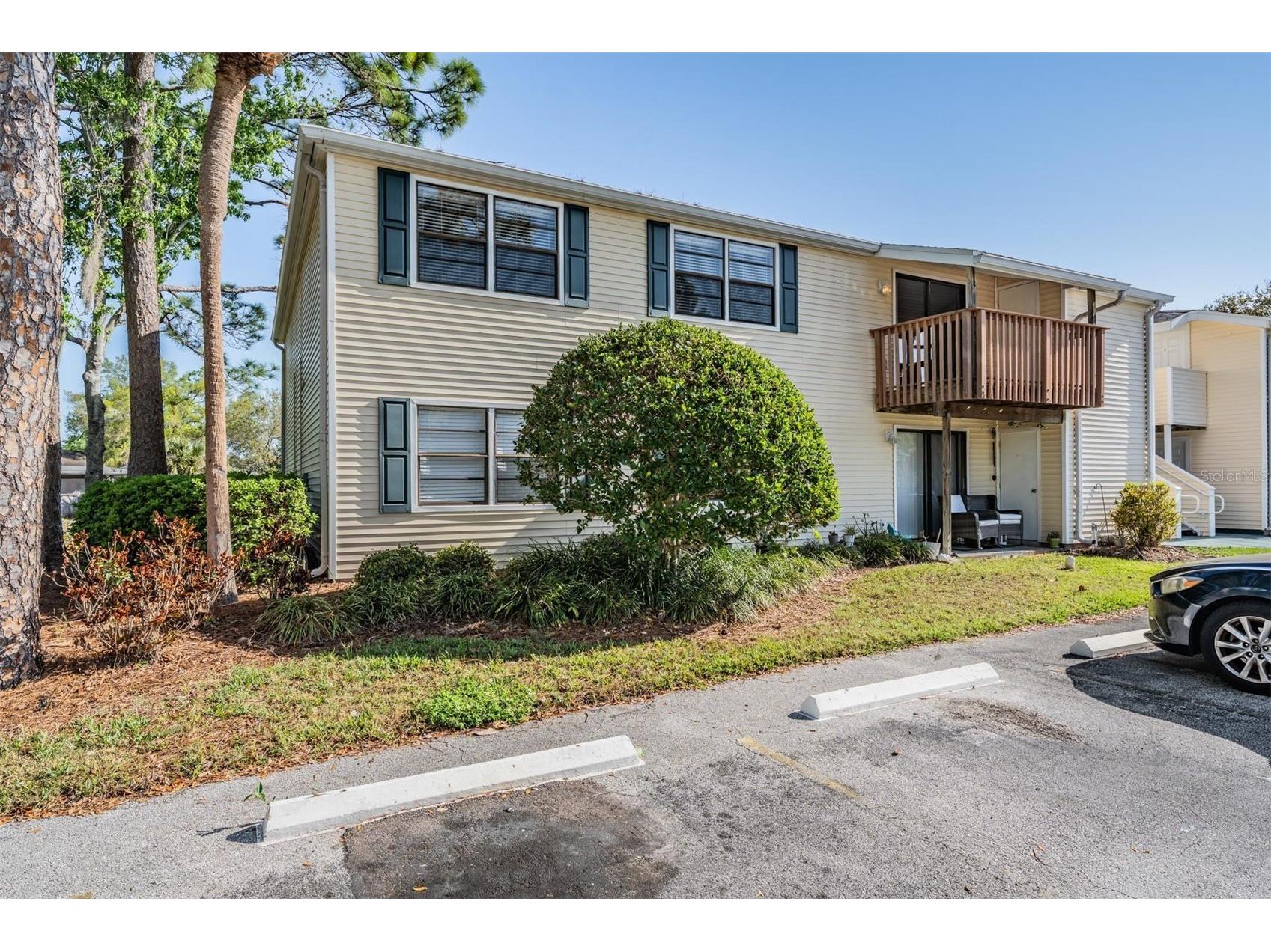 124 Loblolly Court #H Oldsmar FL 34677 TB8481313 image2