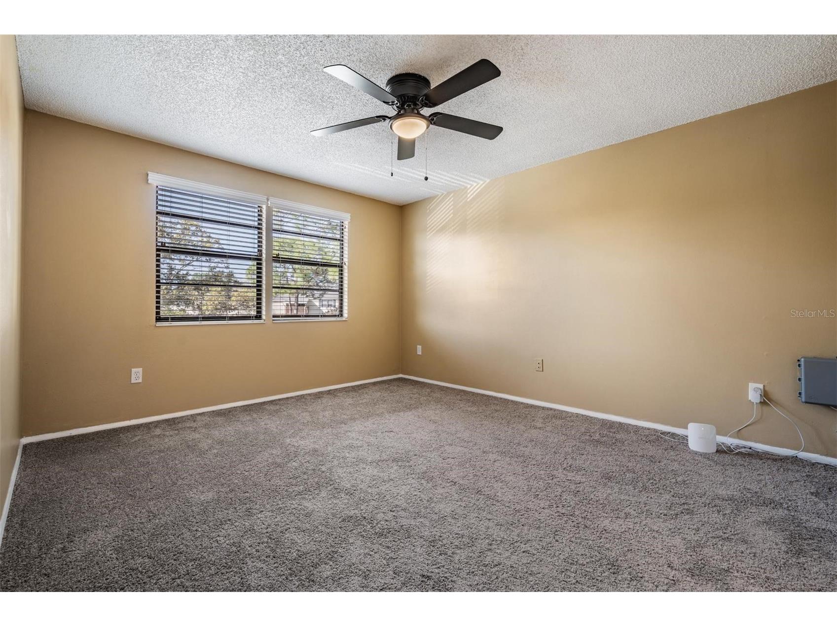124 Loblolly Court #H Oldsmar FL 34677 TB8481313 image22