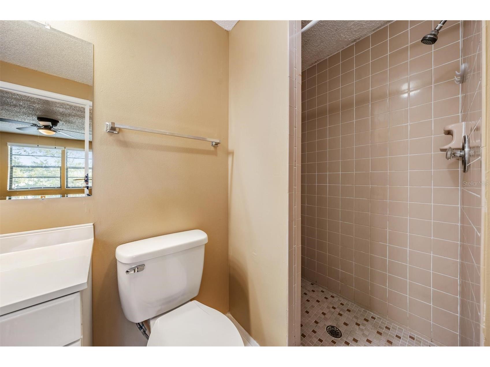 124 Loblolly Court #H Oldsmar FL 34677 TB8481313 image25