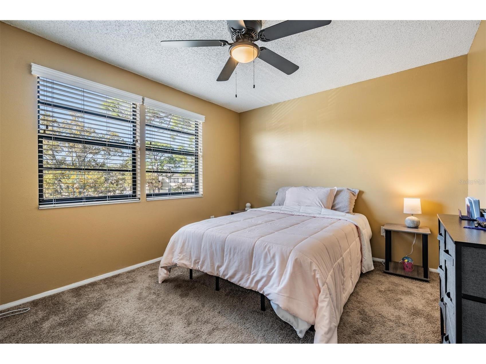 124 Loblolly Court #H Oldsmar FL 34677 TB8481313 image26