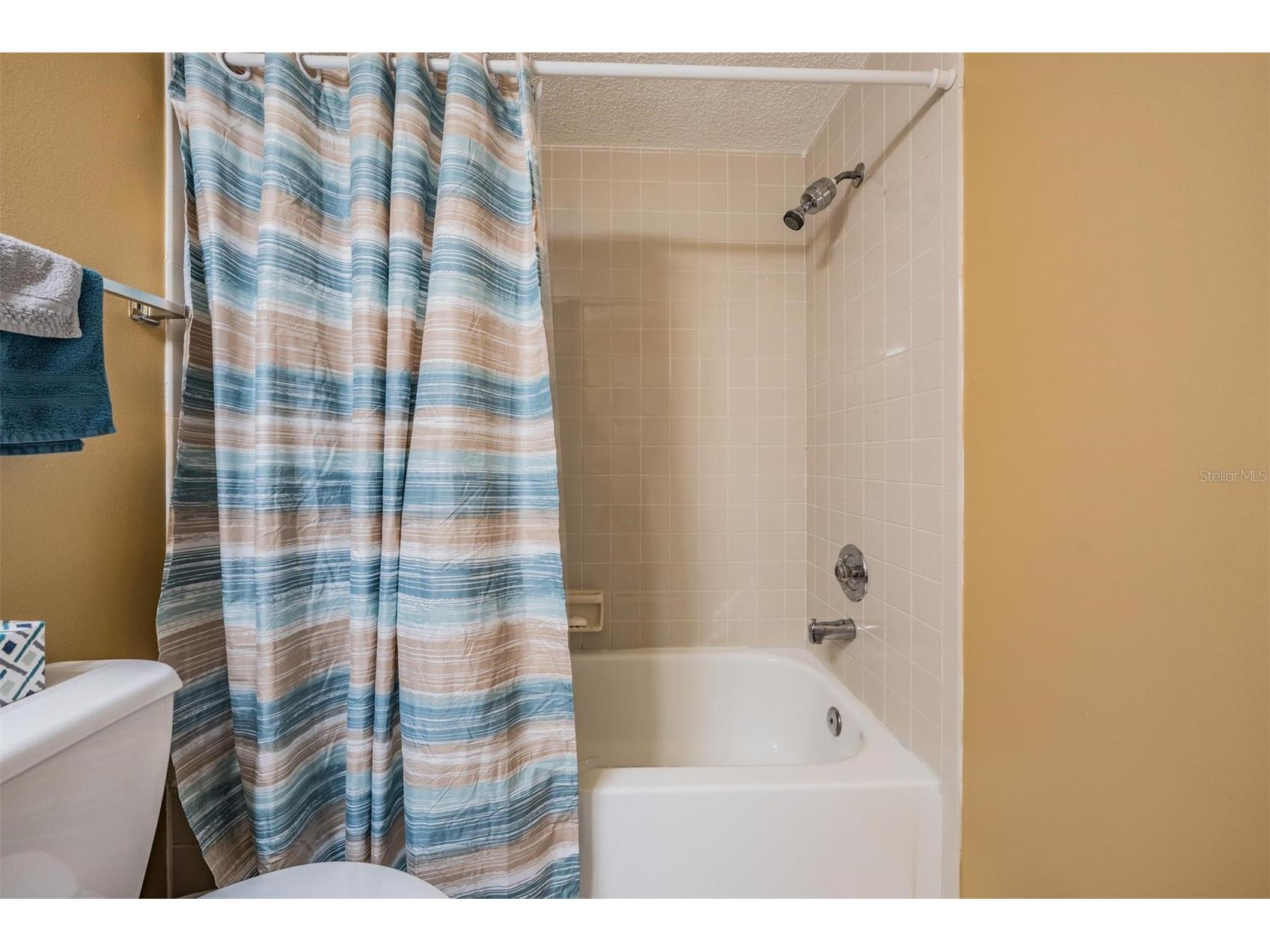 124 Loblolly Court #H Oldsmar FL 34677 TB8481313 image27