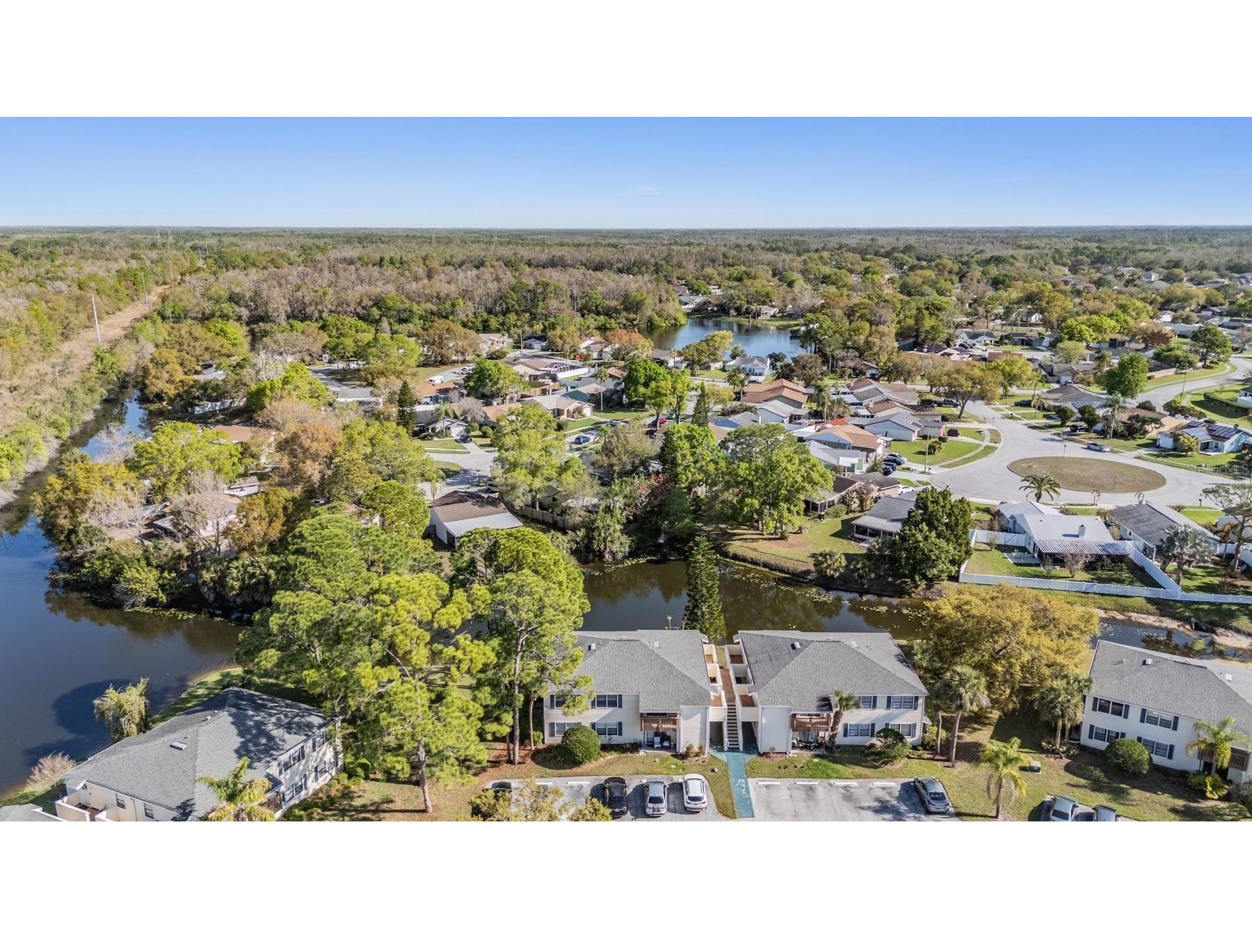 124 Loblolly Court #H Oldsmar FL 34677 TB8481313 image32