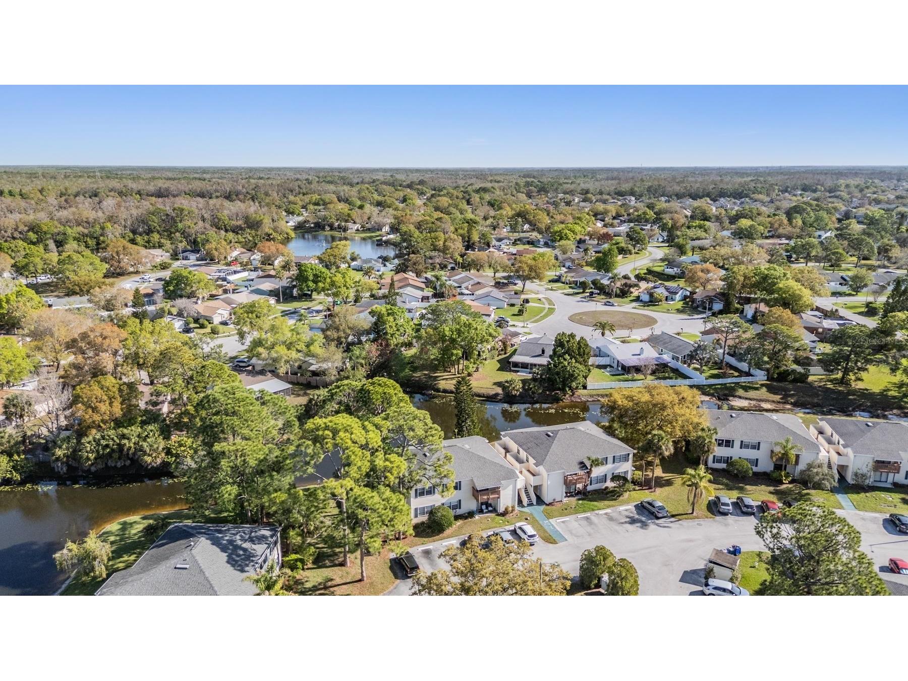 124 Loblolly Court #H Oldsmar FL 34677 TB8481313 image33