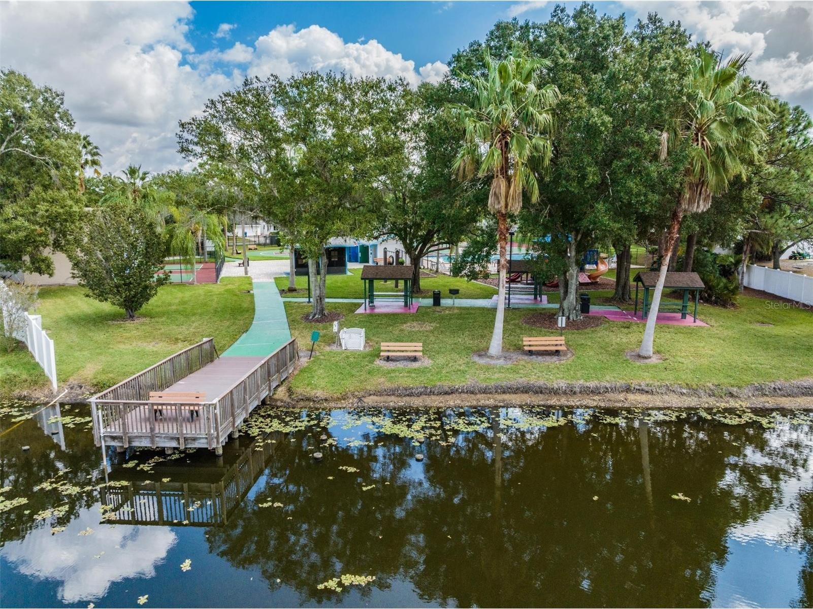 124 Loblolly Court #H Oldsmar FL 34677 TB8481313 image34