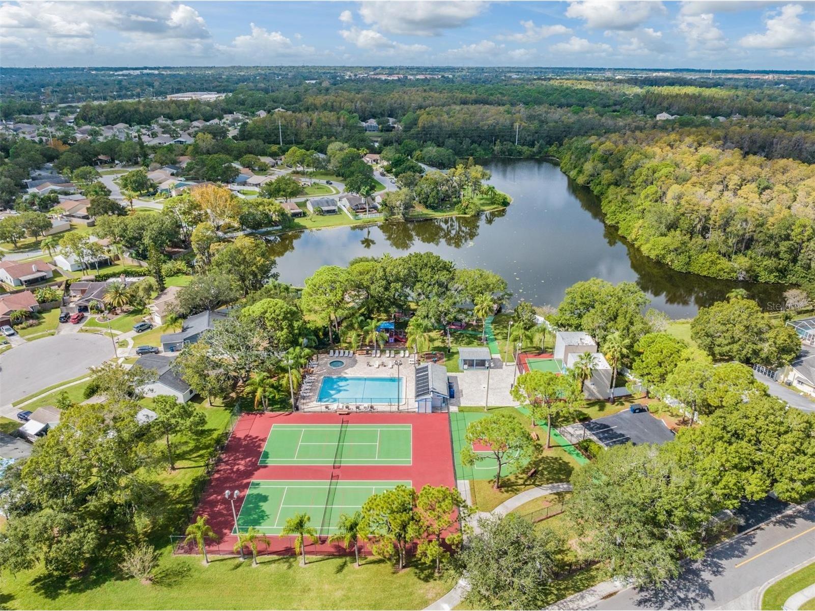 124 Loblolly Court #H Oldsmar FL 34677 TB8481313 image36