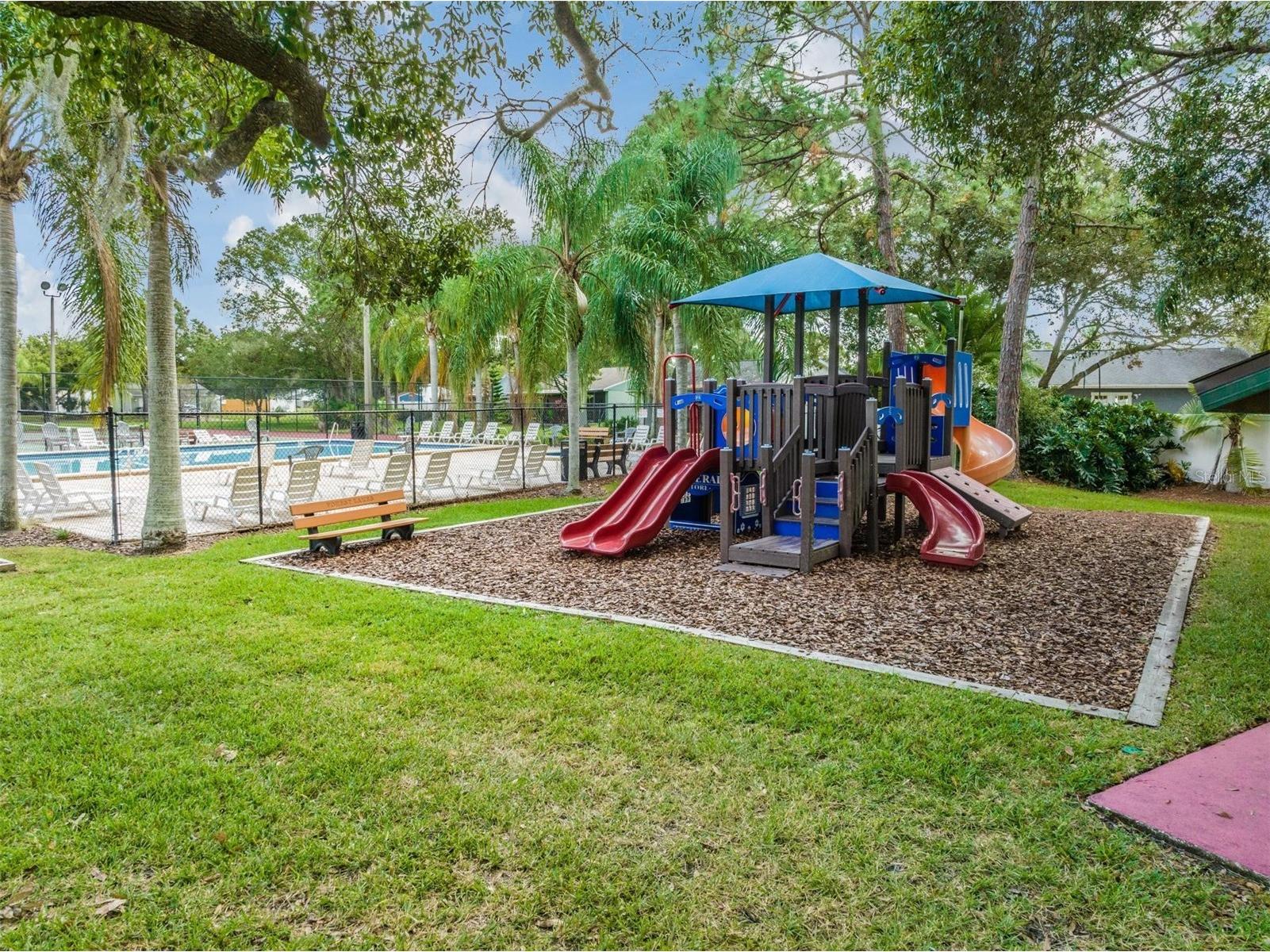 124 Loblolly Court #H Oldsmar FL 34677 TB8481313 image38