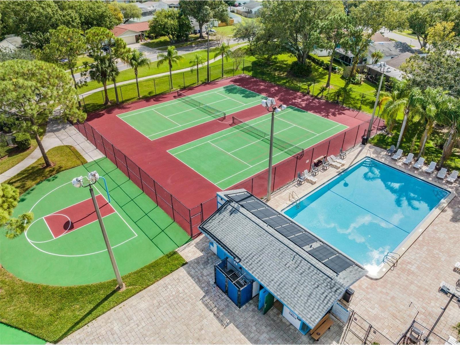 124 Loblolly Court #H Oldsmar FL 34677 TB8481313 image39